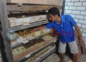 Pujianto (30), warga Dusun Ndrudi, RT.2, RW. 2, Desa Sambungrejo, Kecamatan Semanding saat menunjukkan ulatnya
