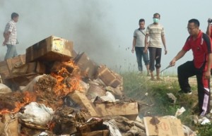 DIMUSNAHKAN : Kasat Reskrim Polres Tuban, AKP Wahyu Hidayat sedang membakar barang bukti 4 ton ikan asin