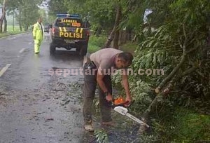 TULUS : Kapolsek Singgahan saat terjun langsung memotong pohon roboh di ruas jalan lintas provinsi Singgahan - Parengan