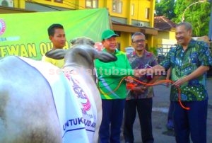 PEDULI : Perwakilan PT Semen Indonesia saat menyerahkan hewan kurban secara simbolis kepada Wakil Bupati Tuban