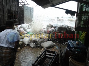 ombak tuban