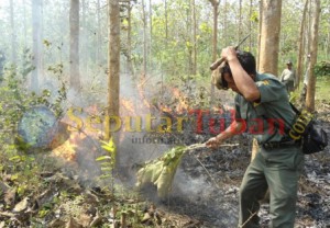 Kebakaran Hutan