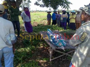 Korban meninggal di sawah