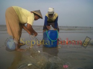 nelayan Tuban