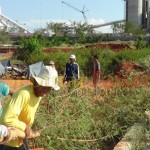 Blokir Holcim