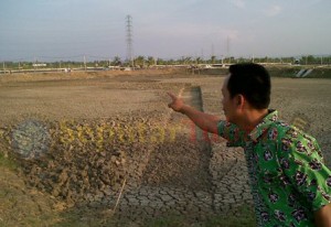 Tambak mengering