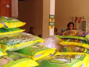 Benih Padi Tuban