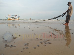 Pencemaran laut