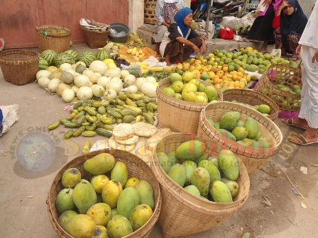 Musim Panen Mangga, Lebih Menguntungkan Dijual Sendiri | NEWS ONLINE
