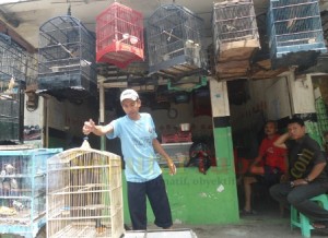 Penjual Burung Tuban