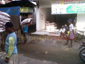 agen pupuk subsidi