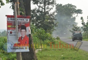 APK Dipohon jalan raya