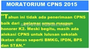 moratorium CPNS