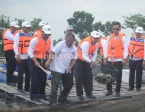 Suasana panen ikan keramba binaan PT Semen Indonesia
